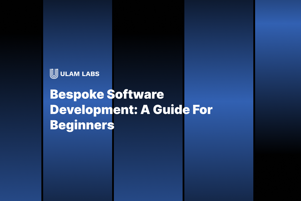 Bespoke Software Development: A Guide For Beginners